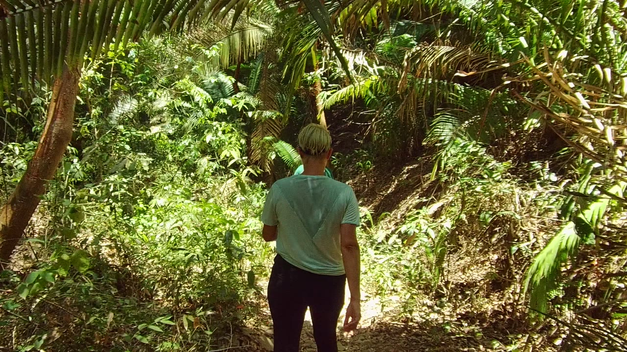 Person centered on a forest trail with bright foliage ahead.