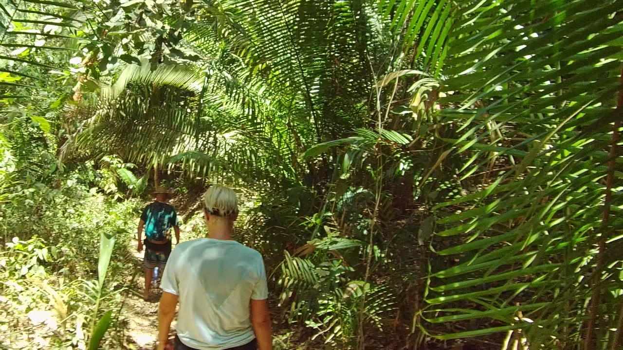 Two hikers walk away from the camera on a narrow dirt trail in San Pancho, Nayarit, Mexico, framed by bright green palms and sunlit foliage.
