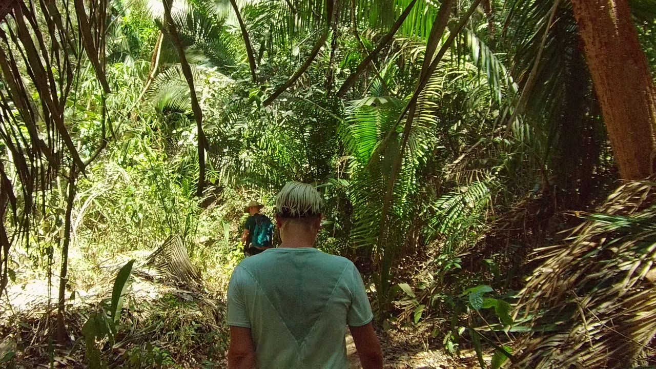 Two hikers walk away from the camera on a narrow dirt path through dense tropical foliage in San Pancho, Nayarit, Mexico.