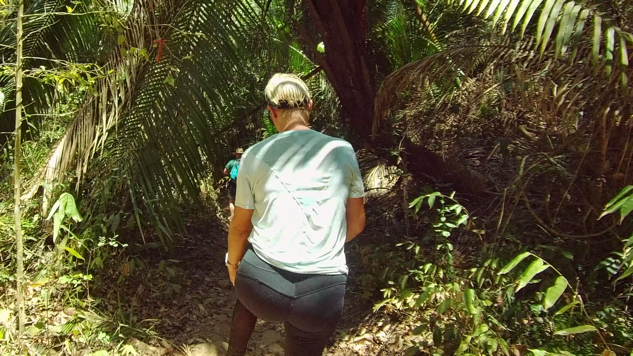 A person in a pale shirt walks away from the camera on a narrow forest path in San Pancho, Nayarit, with large palm fronds and mottled sunlight around the trail.