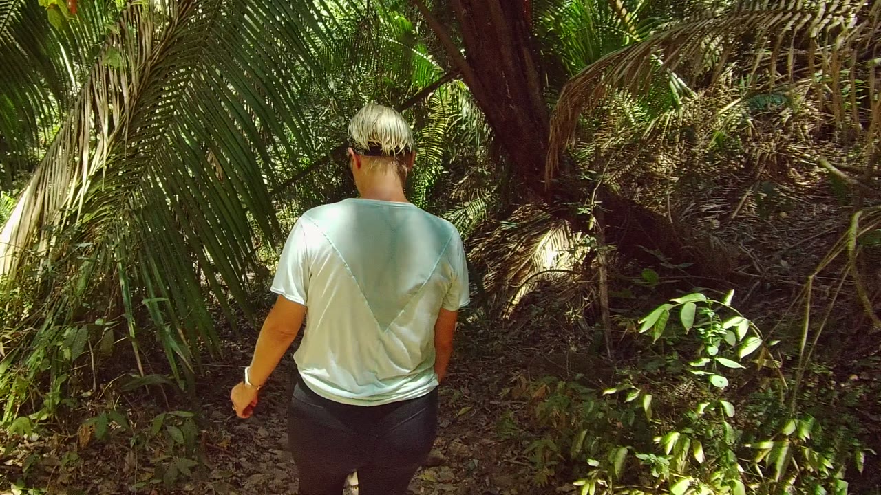 Person walking farther along a shaded forest trail.