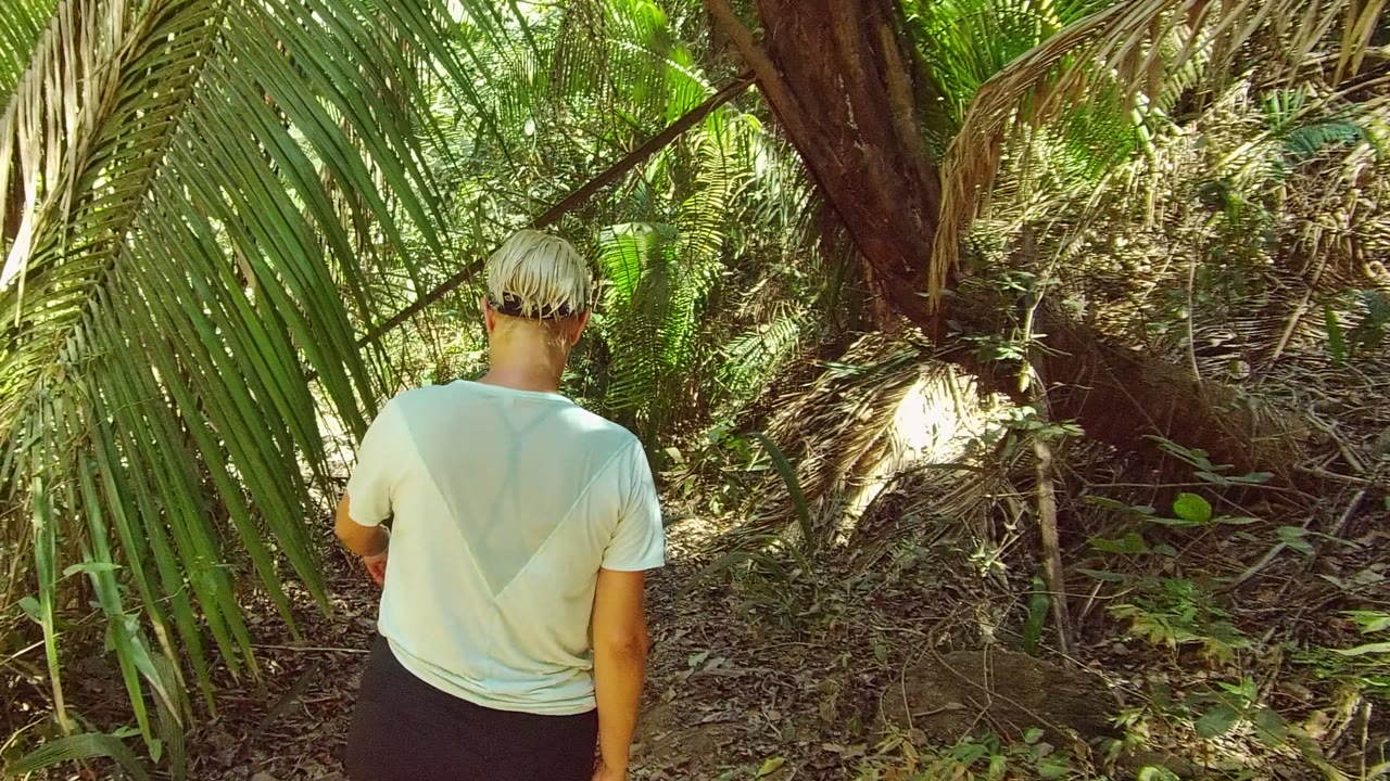 A rear view of the person on the tropical path shows bright green palm leaves filling the right side of the frame and tangled dry vegetation along the trail edge.