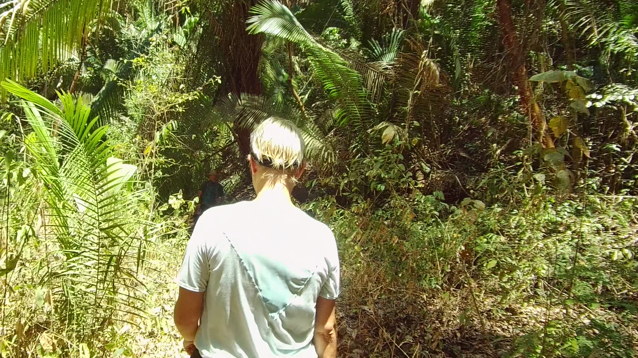 A person with short blonde hair walks away from the camera on a narrow forest path in San Pancho, Nayarit, with bright foliage at the left edge and palms ahead.