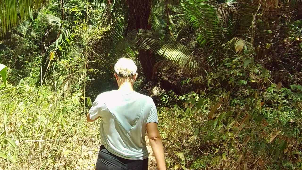 In San Pancho, Nayarit, the person is farther along the narrow trail with one arm lifted near the surrounding plants and bright sun striking the right side of the frame.