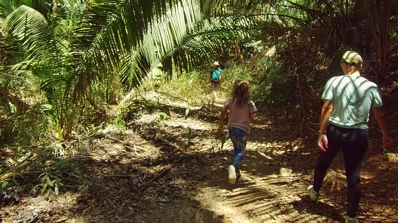 People walk away from the camera on a narrow dirt forest path in San Pancho, Nayarit, with large palm fronds overhead and bright sun patches on the ground.