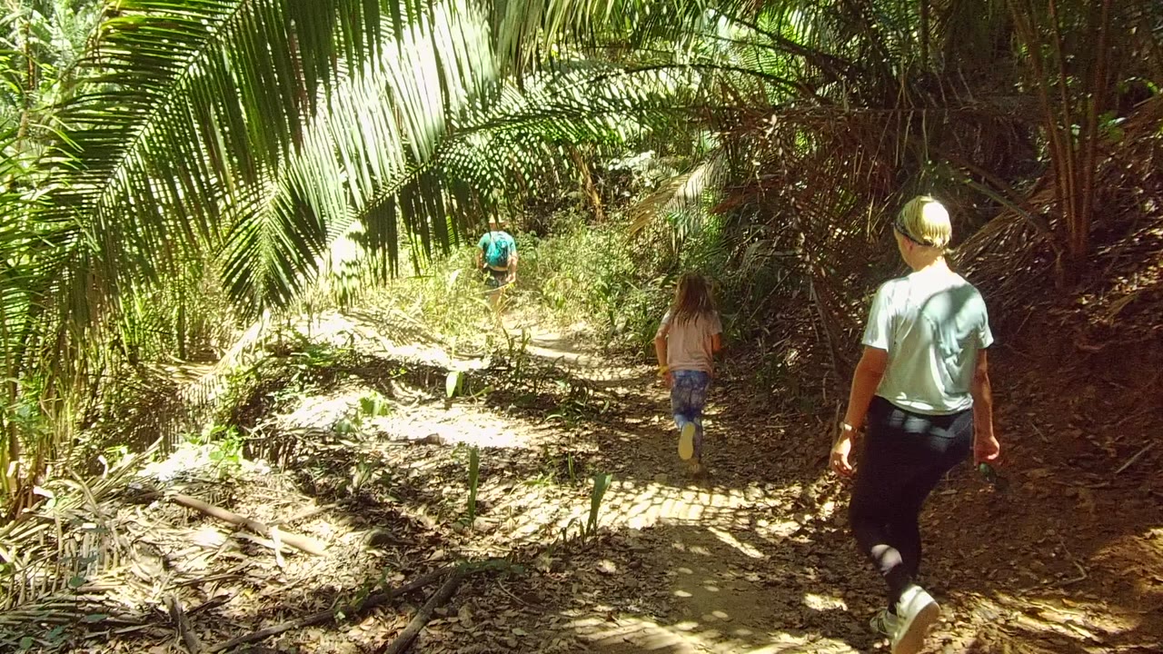 Two people farther ahead on a bright patch of forest trail.