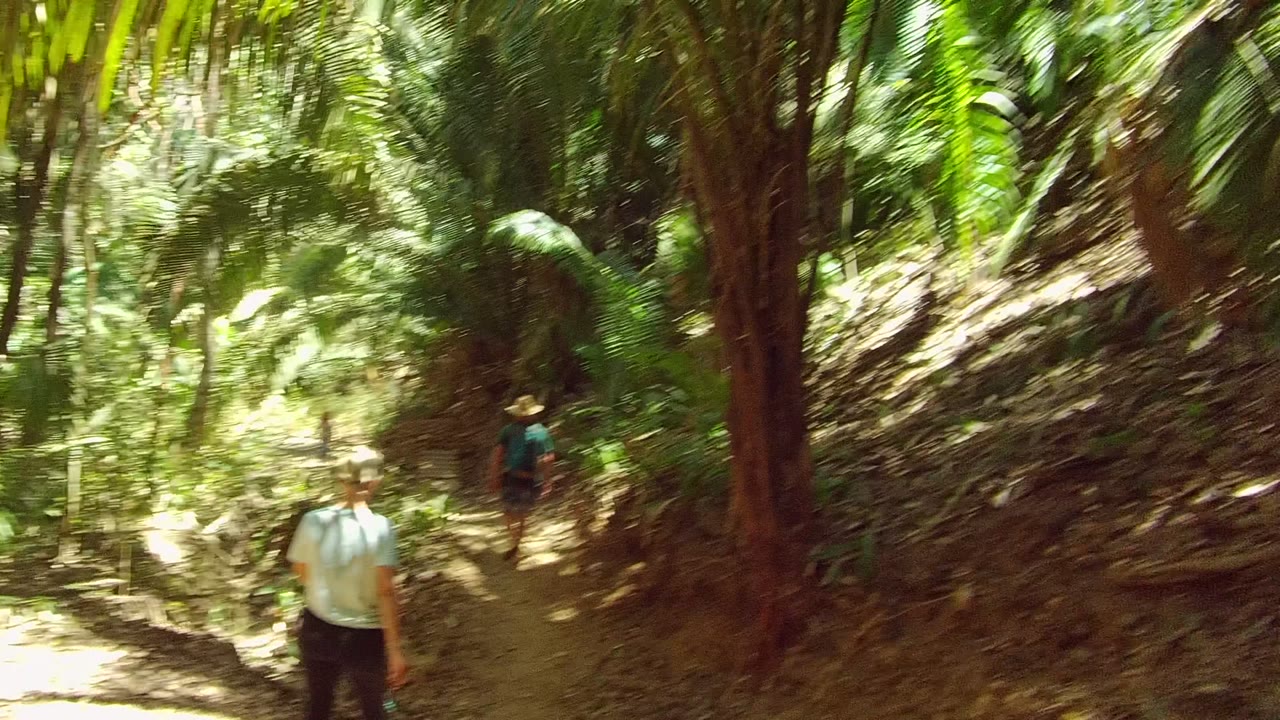 Two hikers walk on a narrow dirt trail in a dense forest in San Pancho, Nayarit, with the nearer hiker at the left edge and bright foliage ahead.