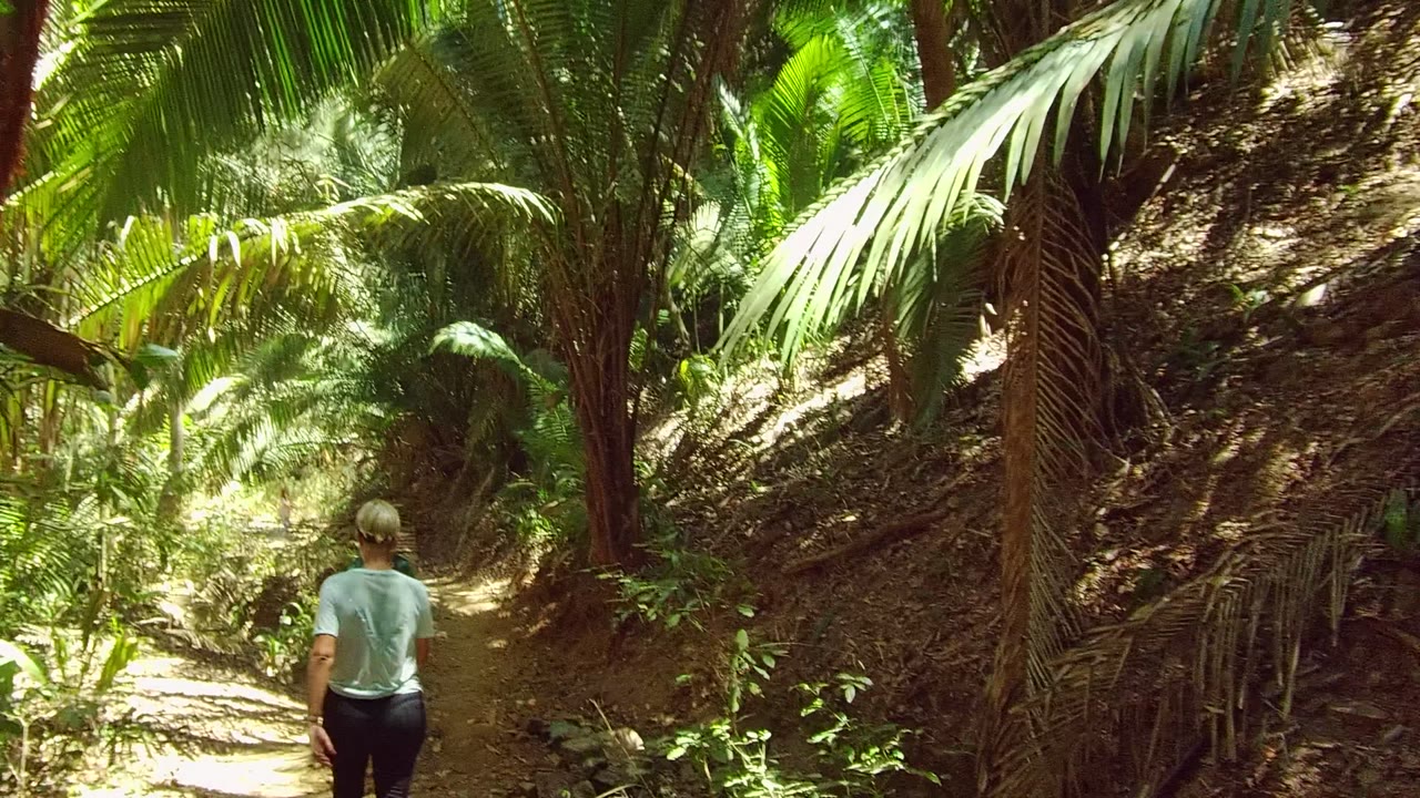 A hiker in a pale shirt walks away on the San Pancho dirt trail, with the second hiker mostly out of view and palm leaves arching over the path.