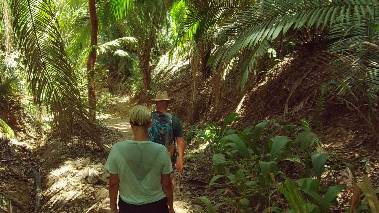 Two people walk away from the camera on a shaded forest trail in San Pancho, Nayarit, Mexico, with dense green foliage around the dirt path.