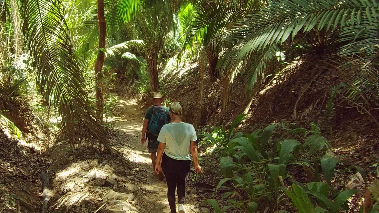 Two people are seen from behind on the San Pancho trail, with the lead walker slightly ahead and large green plants lining the right side of the path.