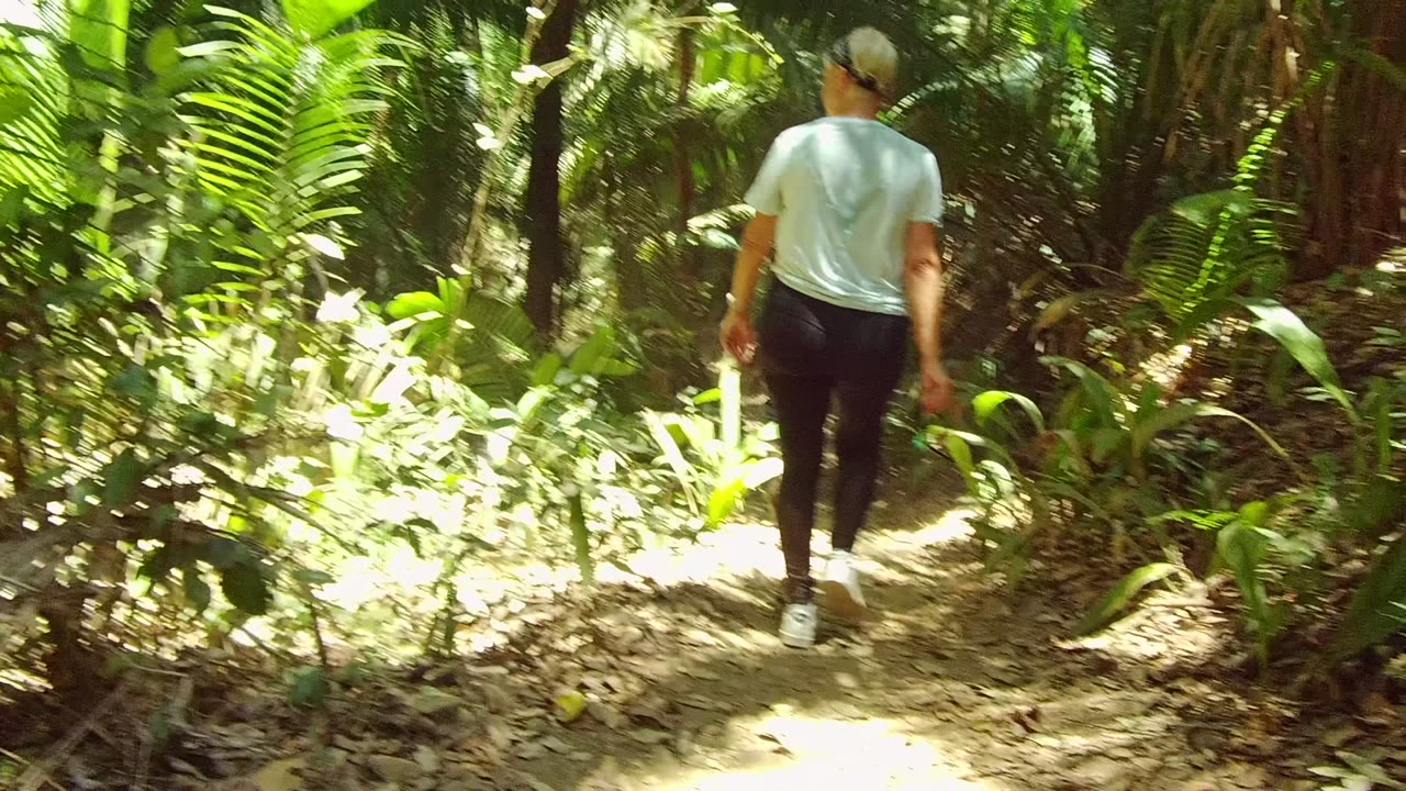 A person walks away on a sun-dappled dirt trail in San Pancho, Mexico, with bright green plants and dense trees around the path.