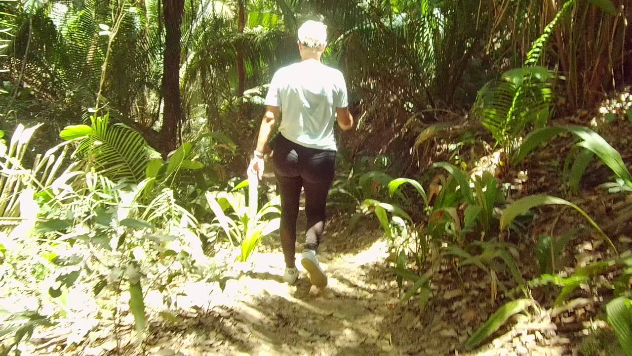 Person farther along a bright forest path.