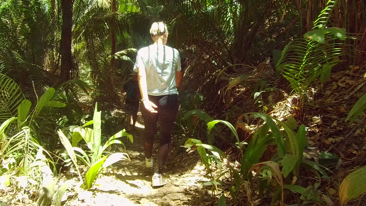 A person in a cap and light shirt is centered on the San Pancho forest trail, with tall plants in the foreground and darker vegetation ahead.
