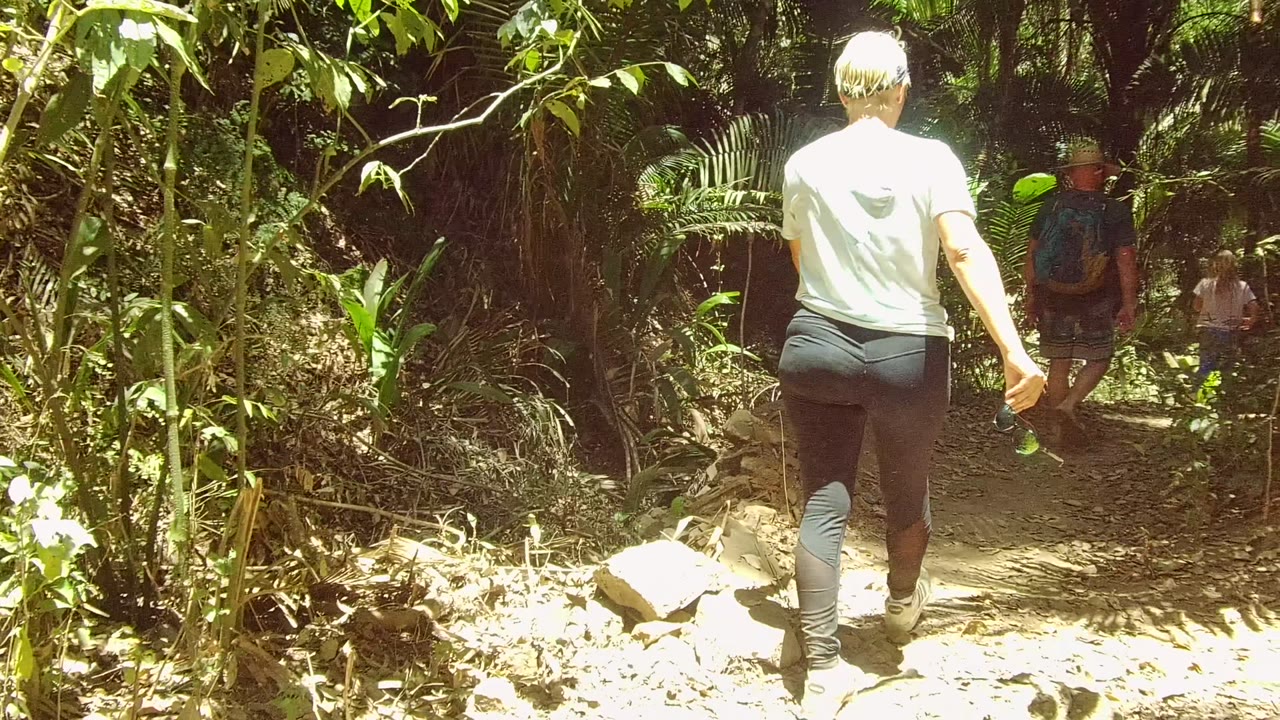 At 0:00, hikers walk away from the camera on a dirt forest path in San Pancho, Nayarit, with bright sun on the nearest walker and dense foliage around the trail.