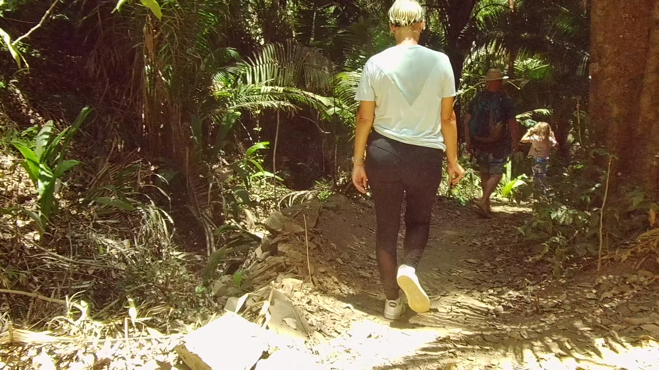 At 0:01, the nearest hiker is centered from behind on the San Pancho forest trail while other walkers move ahead through darker vegetation and broken sunlight.