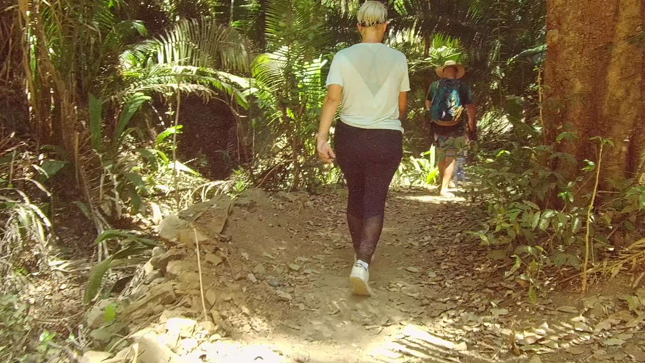At 0:02, the nearest walker continues uphill on the dirt path in San Pancho, with a large tree trunk on the right, loose rocks, and hikers farther ahead in the shade.