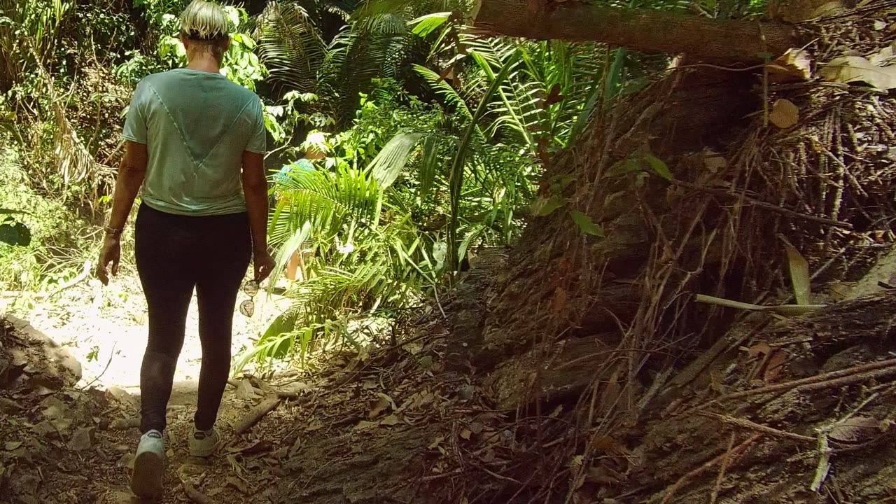 A person in a light blue shirt and dark pants walks away on a narrow dirt trail in San Pancho, Nayarit, with palms and dense green plants around the path.