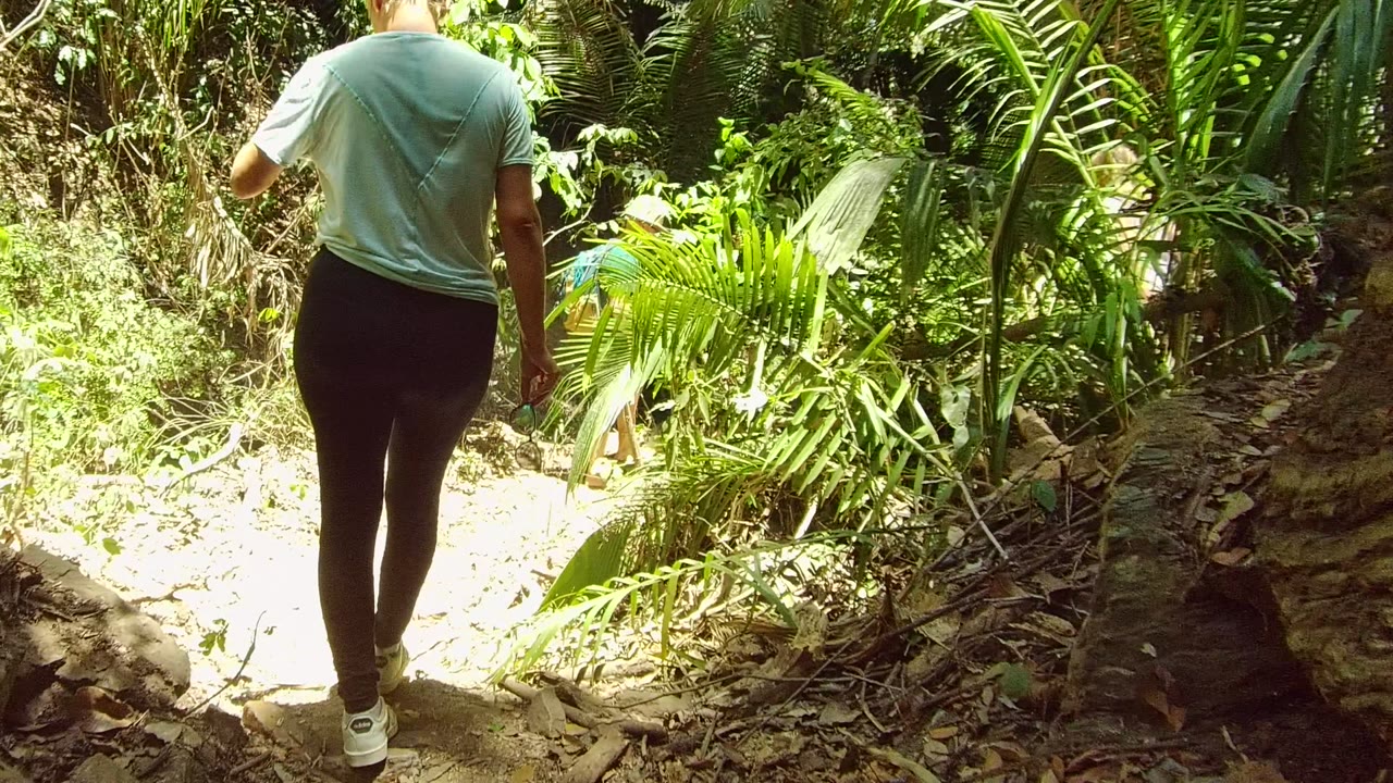 Walker steps toward a brighter section of the forest path.