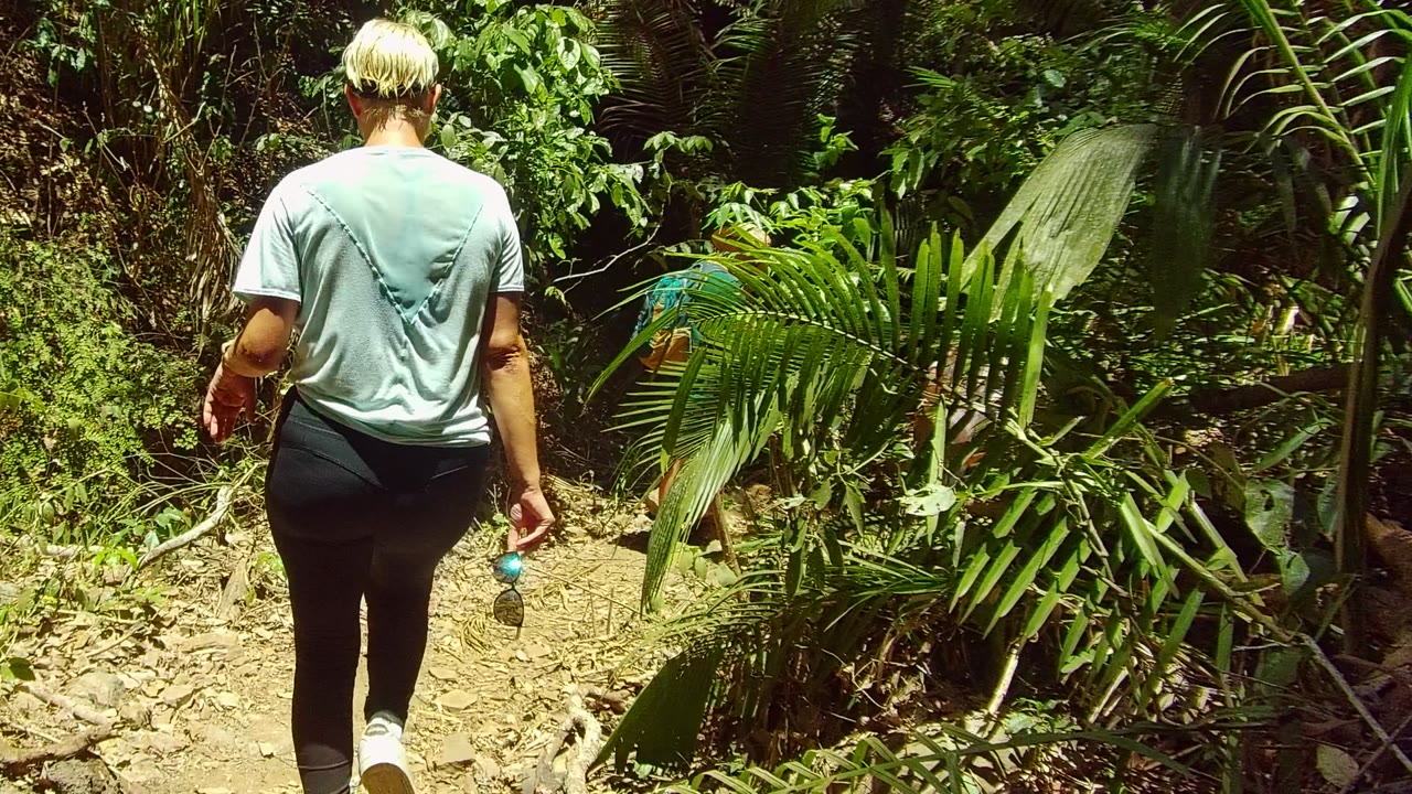 A rear view of the walker on the San Pancho trail shows bright palm fronds on the right, dense leaves ahead, and dry debris along the dirt path.
