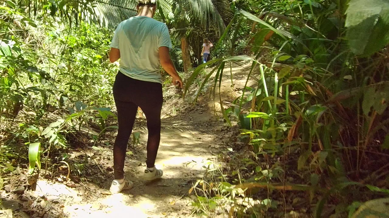 Walker descending a dirt path through dense greenery