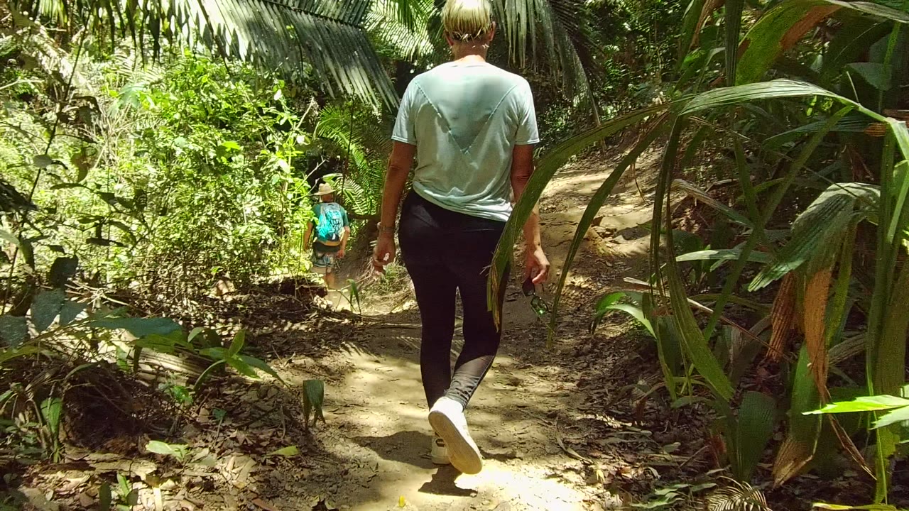 The person remains on the right side of the San Pancho trail while a distant person in blue appears ahead among thick leaves and sunlit undergrowth.