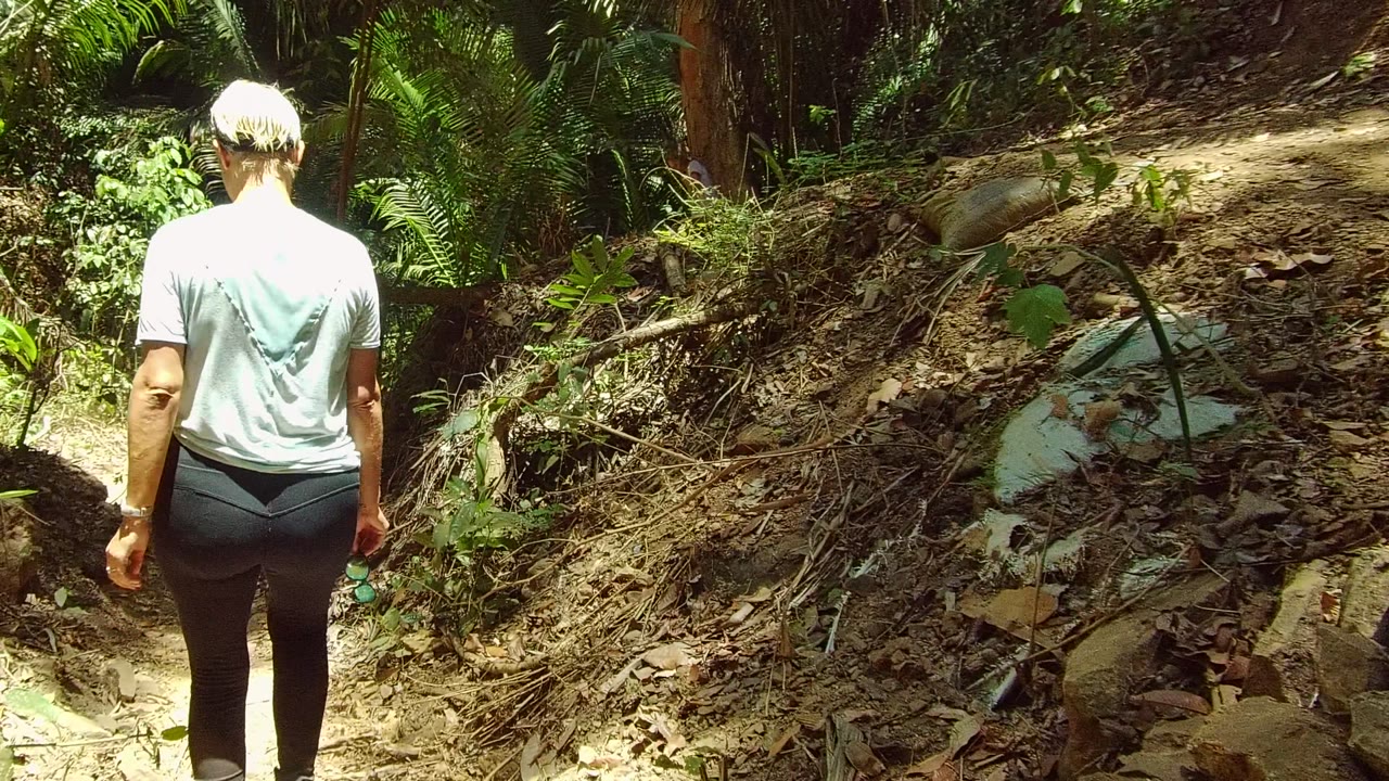The walker moves toward the right side of the frame on the forest trail in San Pancho, Nayarit, Mexico, with a raised dirt bank and dense plants lining the path.