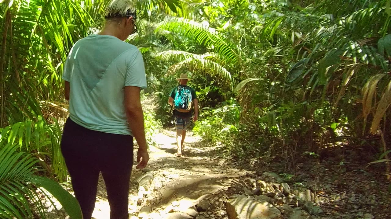 Two hikers walk away along a narrow dirt forest trail in San Pancho, Nayarit, Mexico, with the nearer person partly at left and bright sun breaking through dense green foliage.