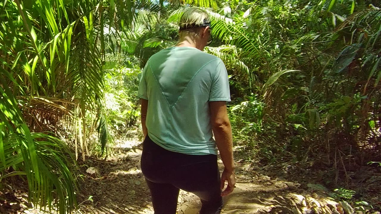 Rear view of a hiker following another person on a leafy trail.