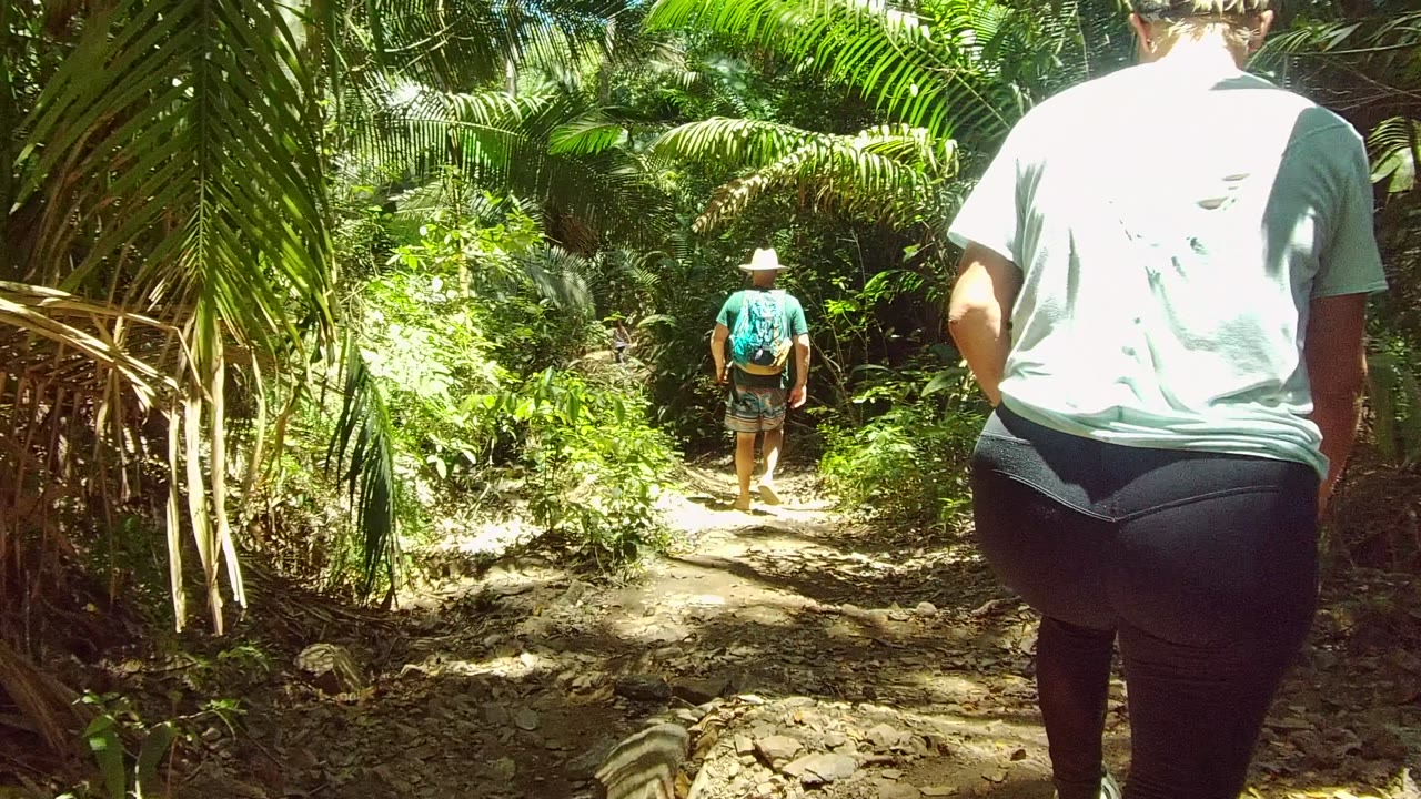 The leading hiker in a hat and blue shirt walks deeper into the sunlit trail while the closer hiker appears at the right edge among dense forest plants in San Pancho, Nayarit, Mexico.