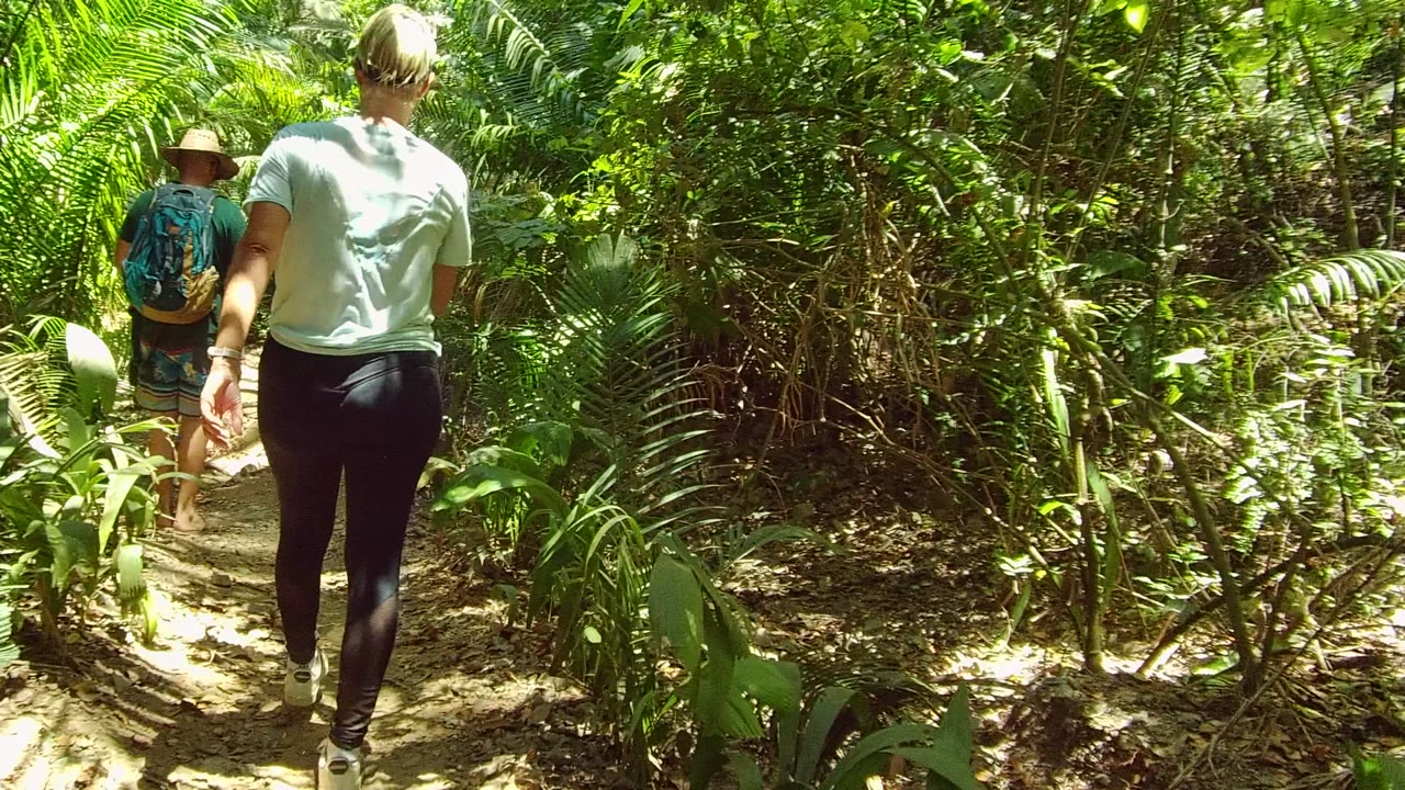 Two hikers walk away along a narrow dirt trail in San Pancho, Nayarit, Mexico, with dense green foliage and sunlit leaves around the path.
