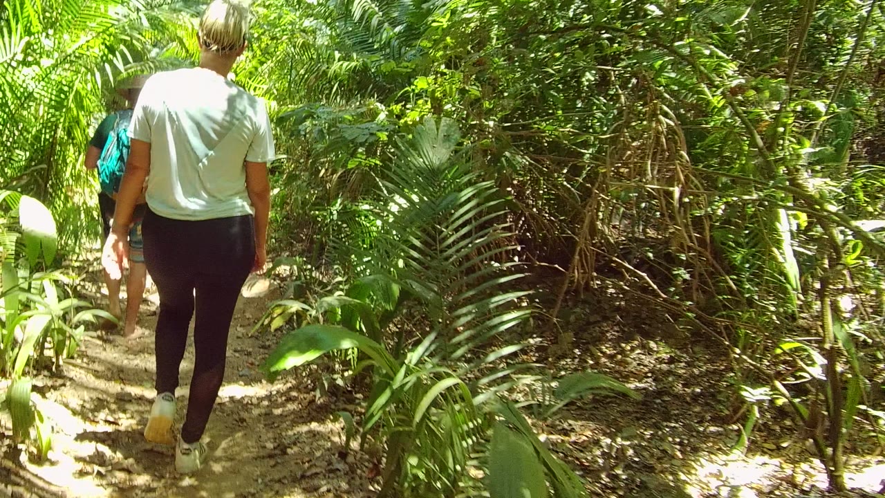 Rear view of a hiker on a dirt path through thick greenery.