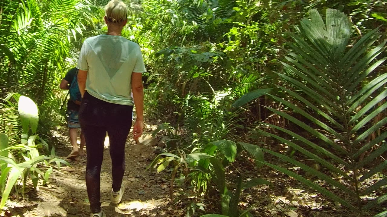 A hiker in a light shirt walks away through dense foliage on a dirt trail in San Pancho, with a second person mostly obscured ahead.