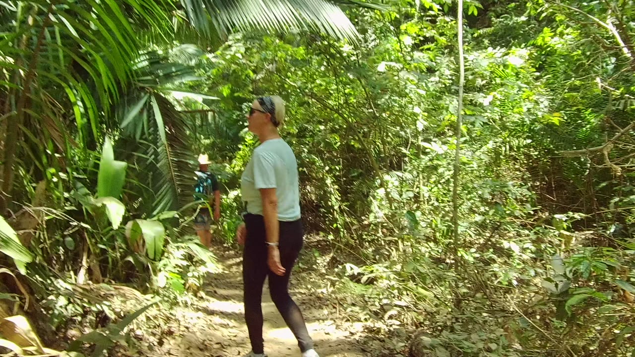 In San Pancho, Nayarit, a person in a light shirt stands near the left edge of a narrow forest path while another walker is partly visible farther ahead.