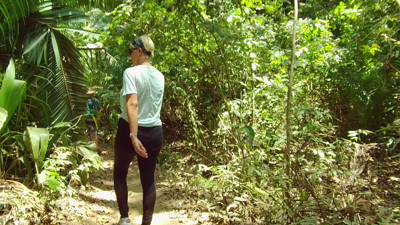 Person walking away on a narrow dirt path through foliage