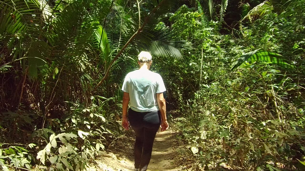 Walker centered on a shaded tropical trail