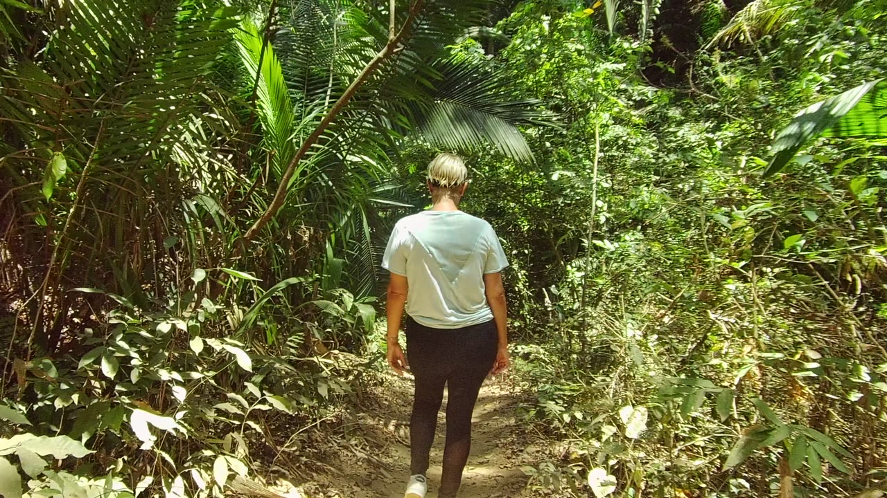 A rear view of the walker continues along the narrow San Pancho trail, with the path curving into thicker plants and high green fronds around the frame.
