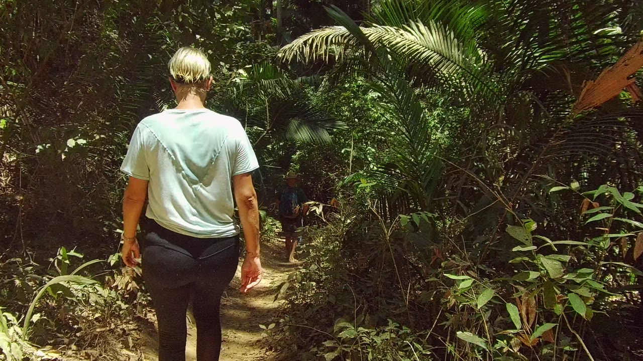 Rear view of a person continuing along a dirt path through thick forest plants.