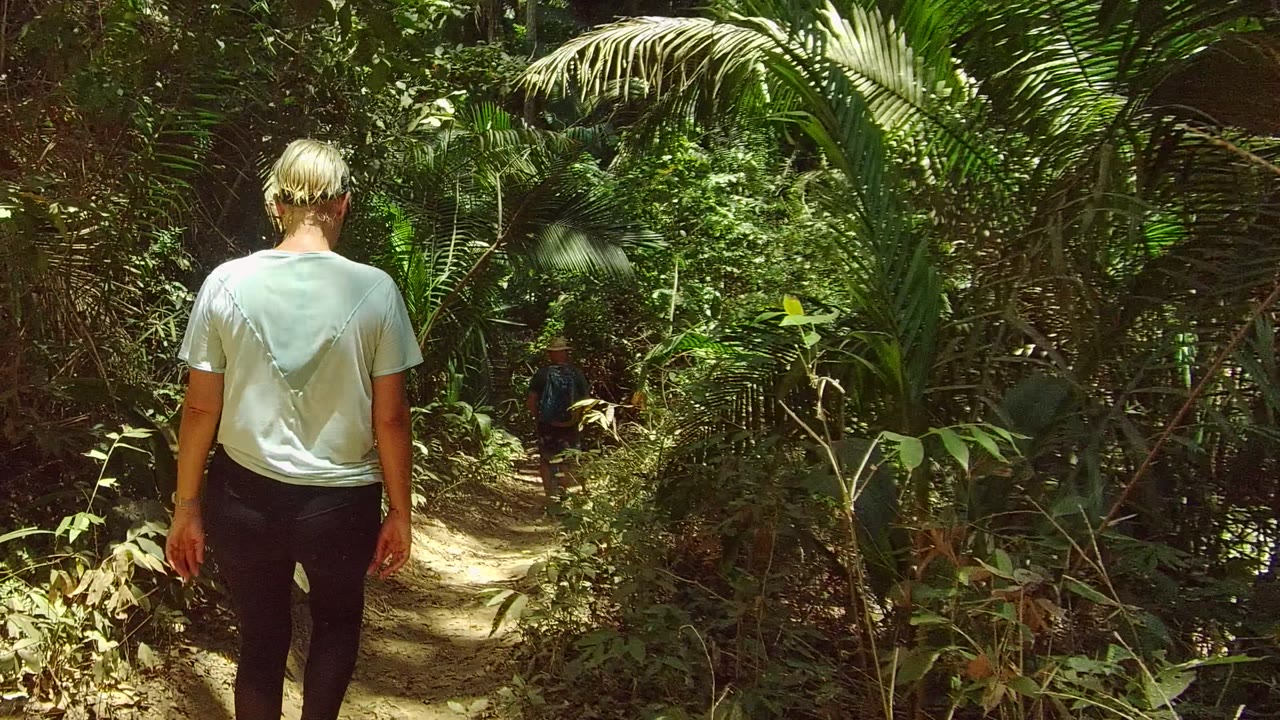 A rear-facing view shows the person on the San Pancho trail approaching a brighter patch of path, with tangled vegetation and palm-like leaves around the route.