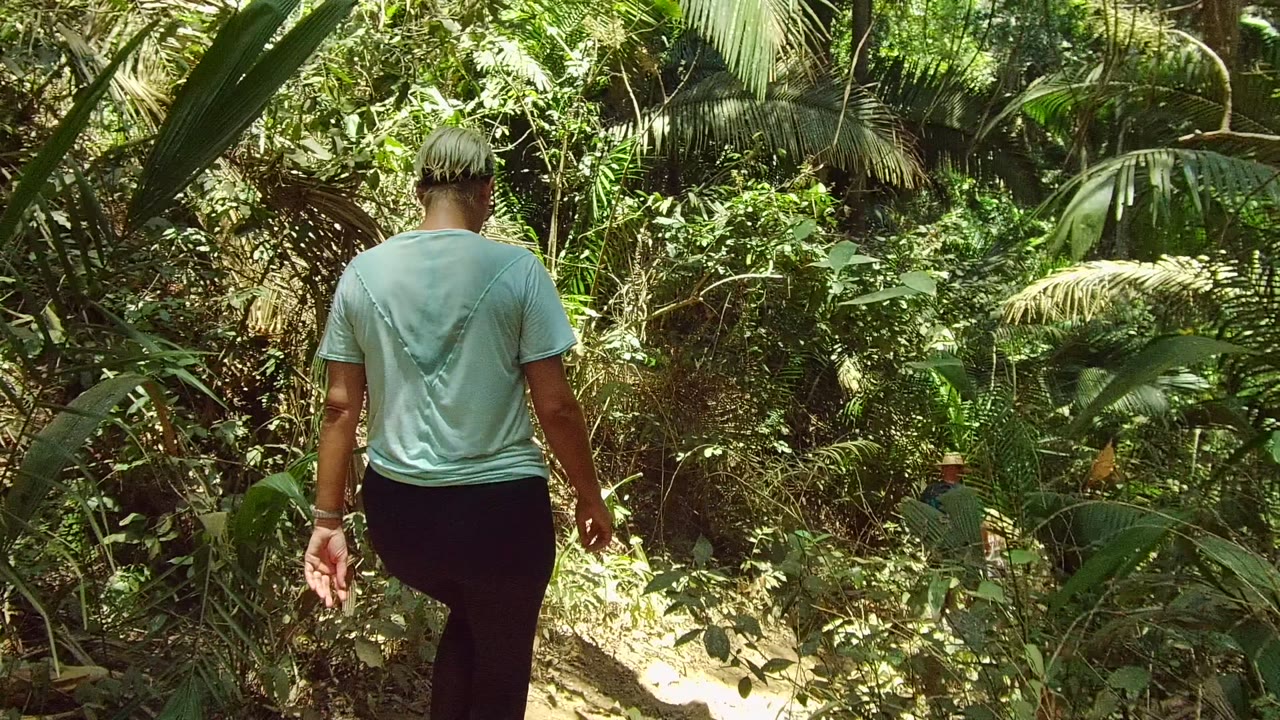 A rear view of the walker on the San Pancho jungle path shows palm leaves, vines, and thick brush filling the frame around the trail.