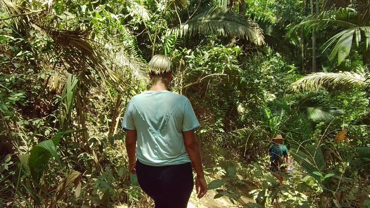 Close rear view of person on forest trail