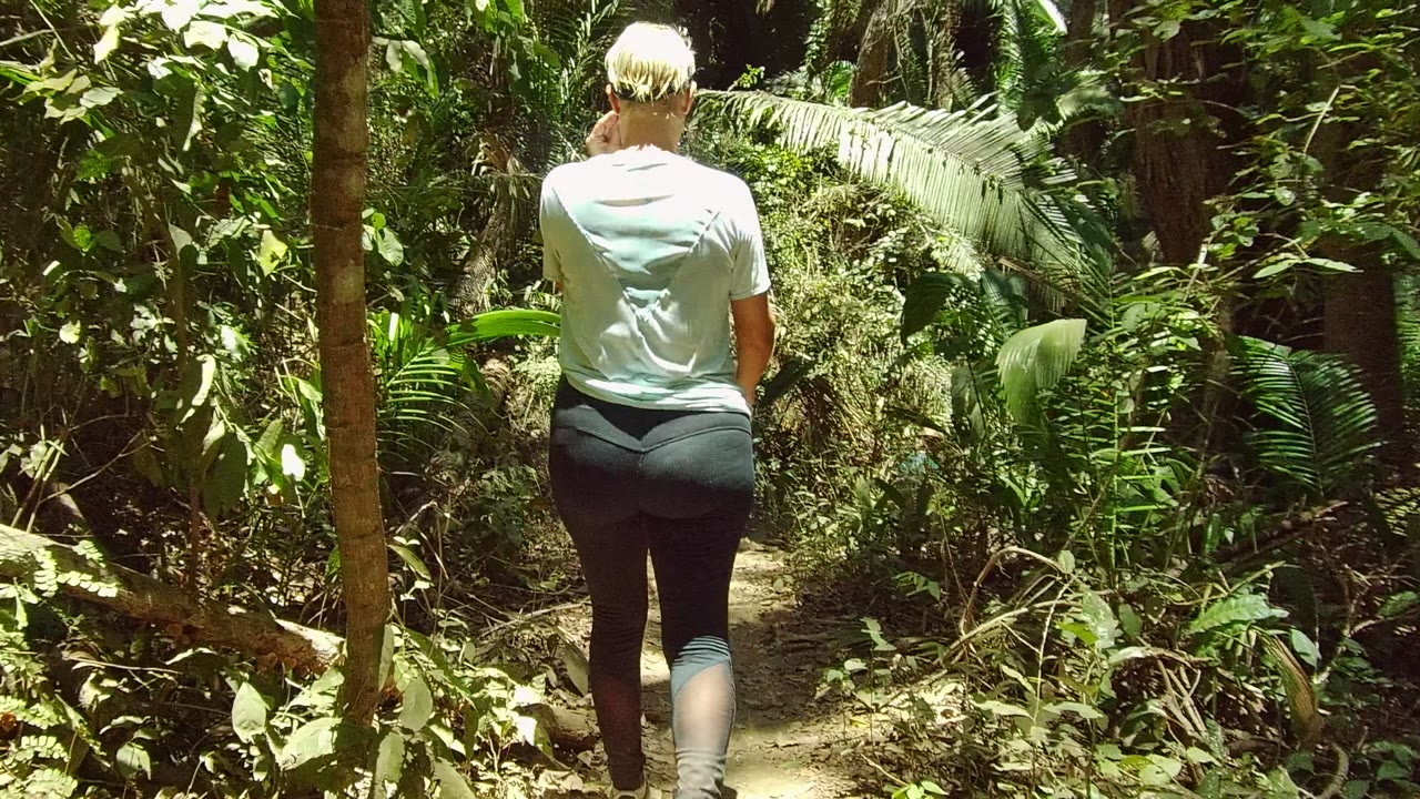 Person seen from behind walking on a narrow dirt trail through dense green foliage in San Pancho, Nayarit, Mexico.