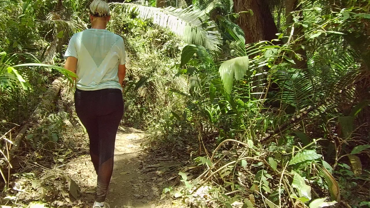 Walker continuing along a sunlit forest path.