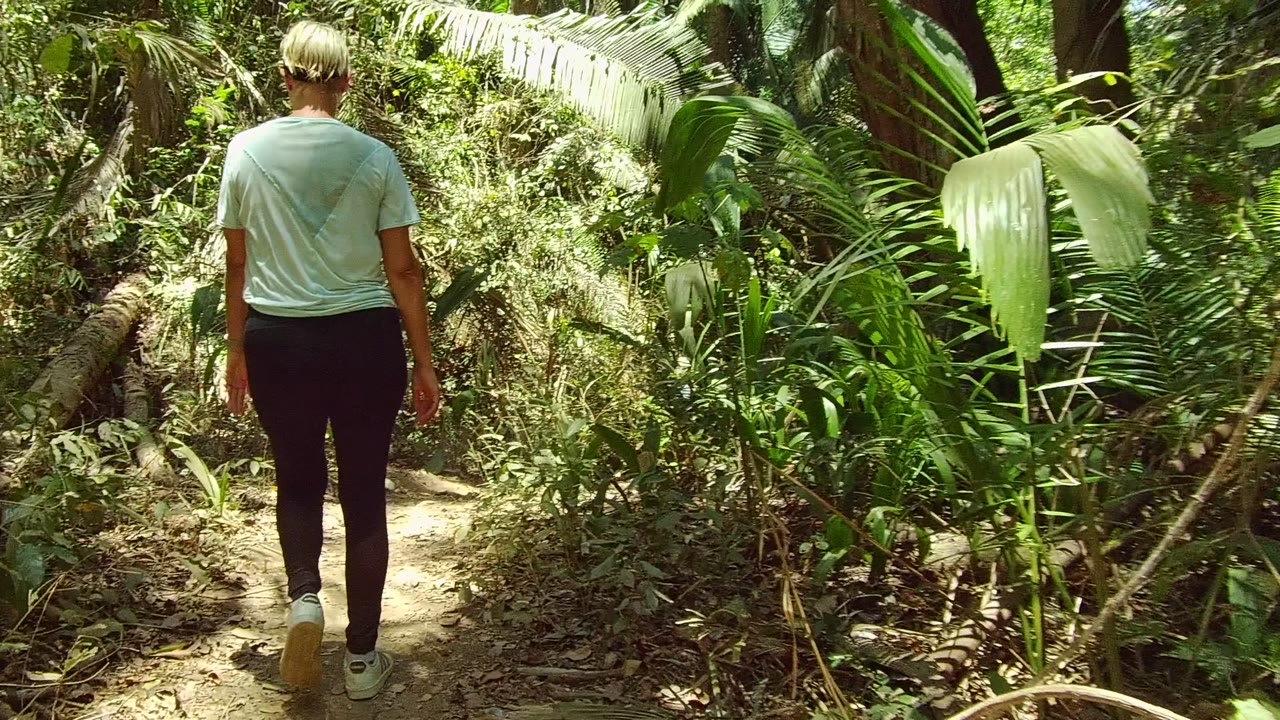 The walker appears farther ahead on the narrow forest trail, framed by layered green plants and leaning fronds in San Pancho, Nayarit, Mexico.