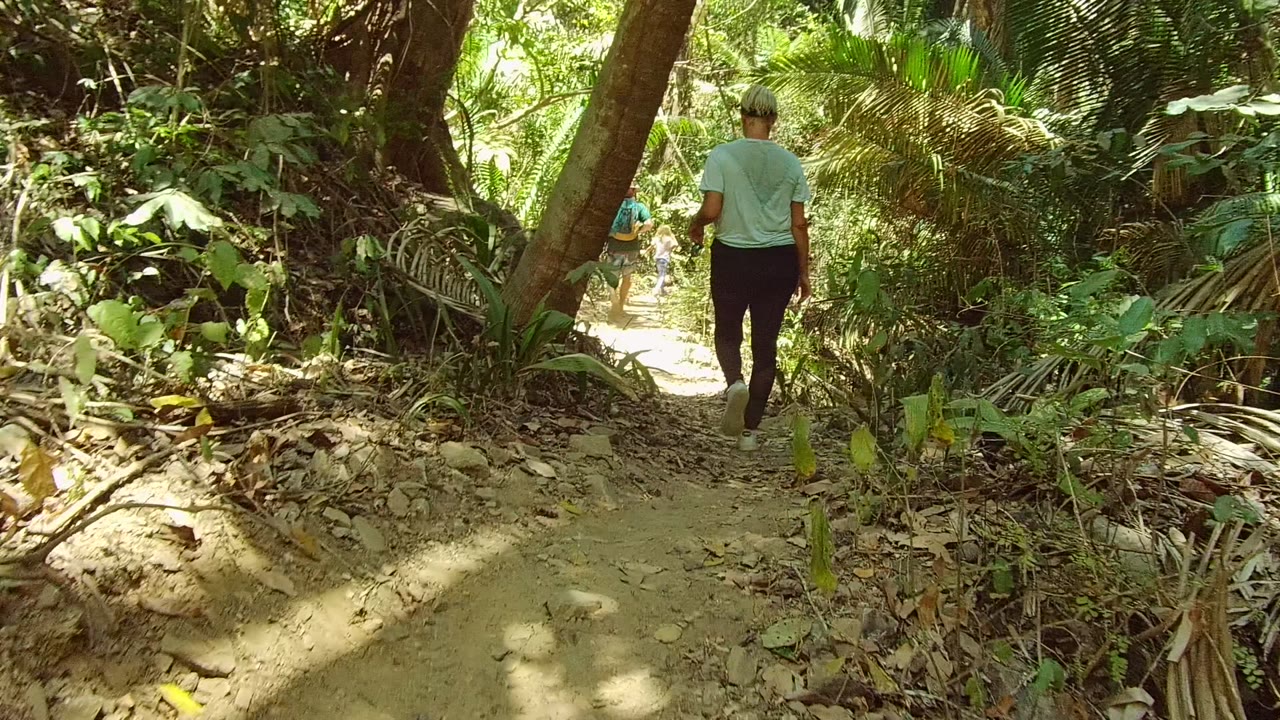 Two people walk away along a narrow dirt trail in San Pancho, Mexico, with palms, tree trunks, leaf litter, and bright sun patches around the path.