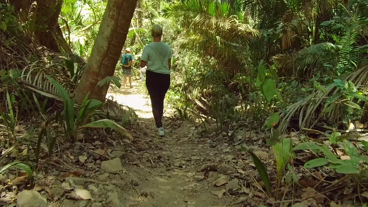 Person walking down a narrow forest path with another person ahead.