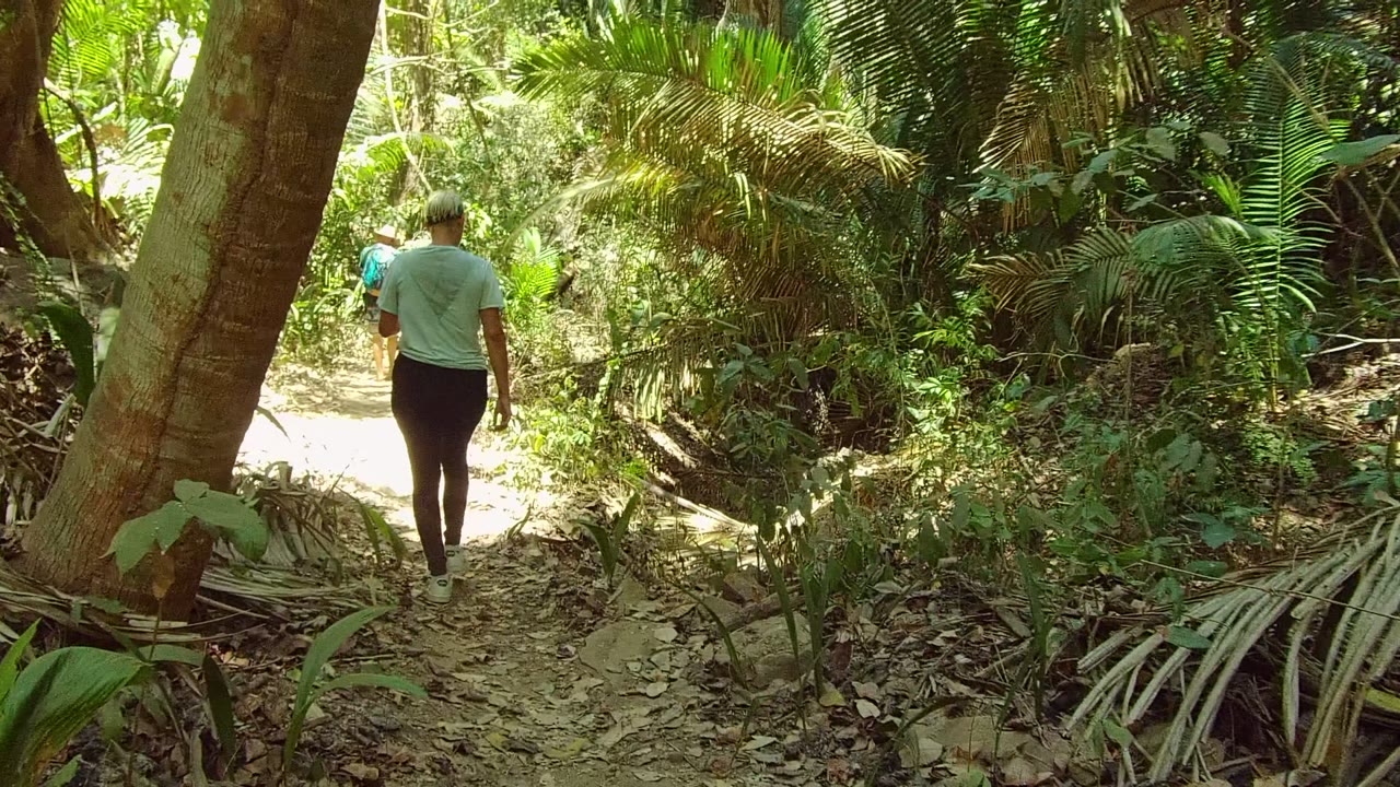 The rear walker continues on the San Pancho dirt path as bright sunlight opens on the trail and dark green foliage frames both sides.