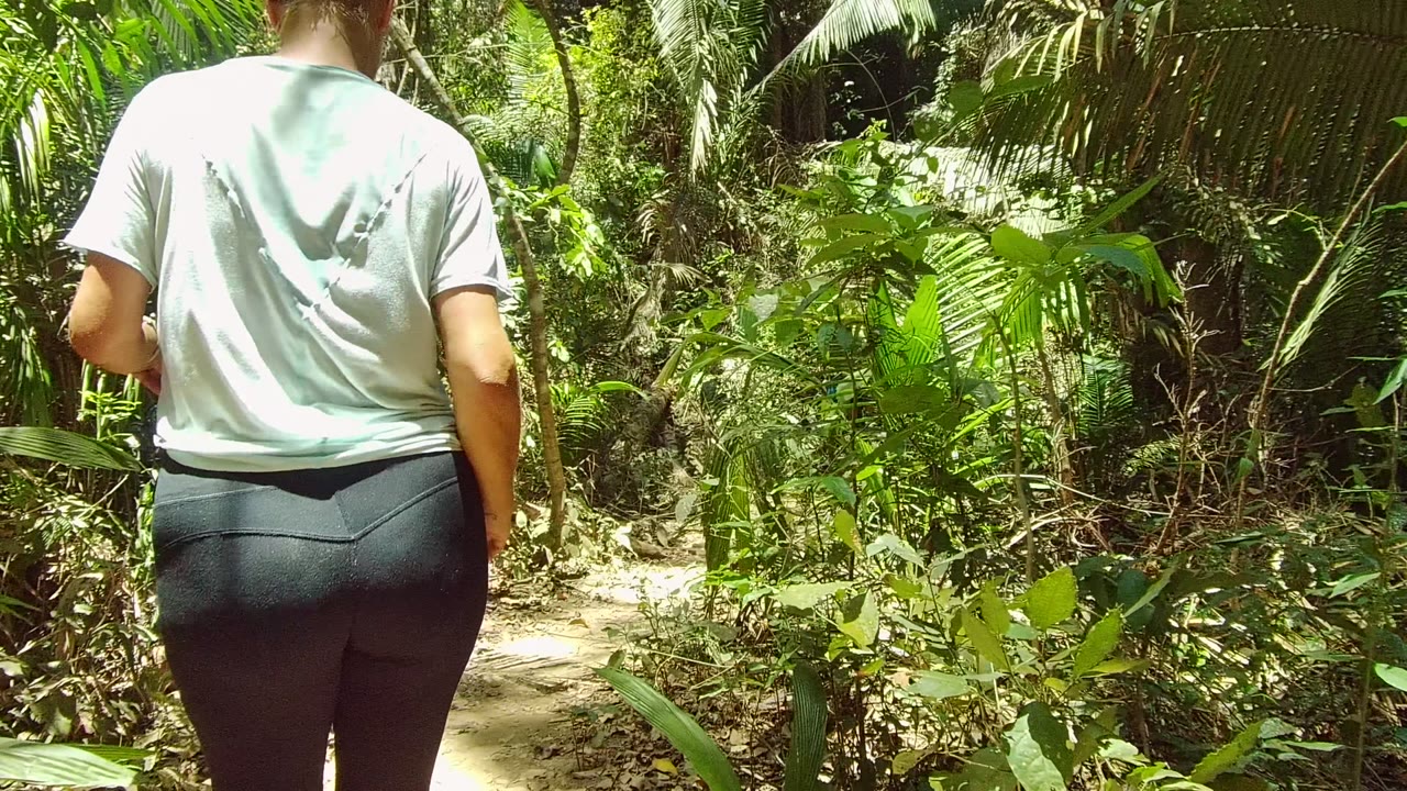 The walker moves farther along the narrow dirt trail in San Pancho, Mexico, framed by bright green leaves and shaded tree growth.