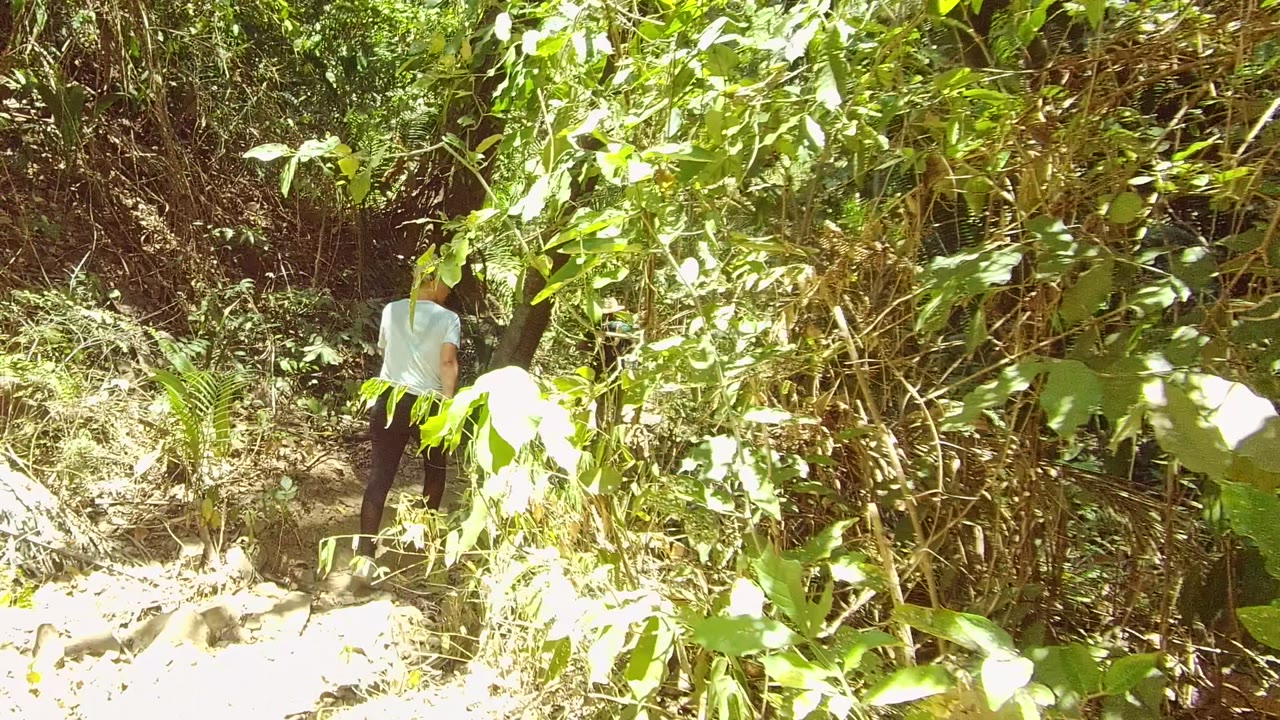 A hiker continues along the narrow San Pancho dirt path while large sunlit leaves fill the foreground and another small figure appears farther ahead.