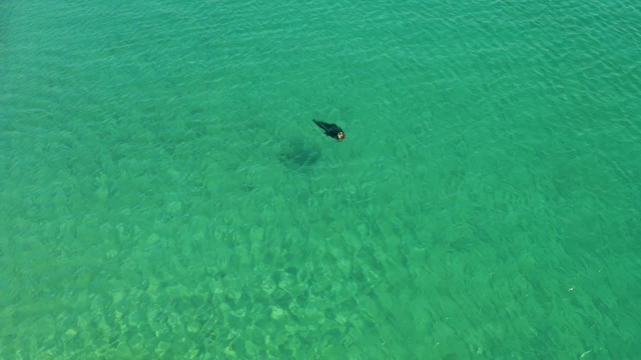 Aerial frame from Los Frailes Los Cabos showing a small swimmer in clear turquoise water, sandy bottom detail, faint ripples, and small seagulls near the upper edge.