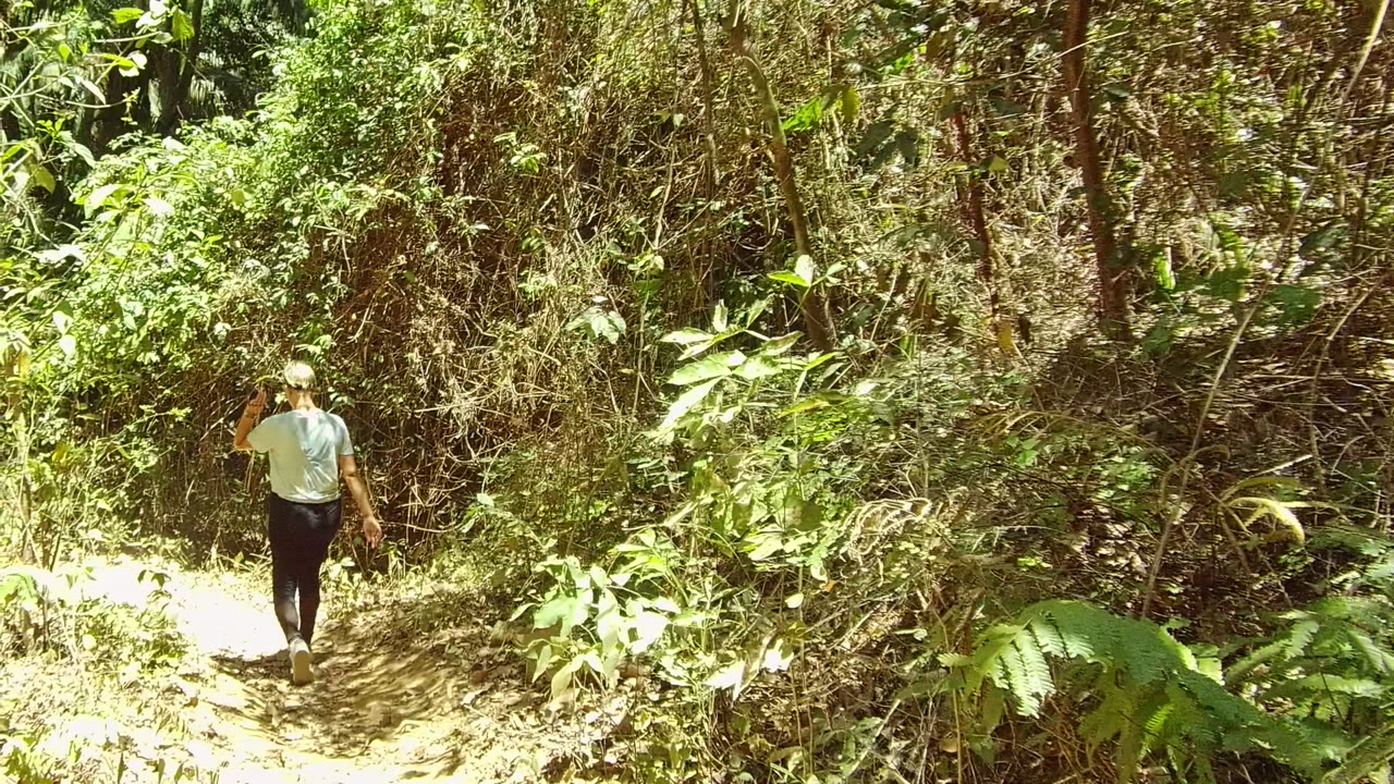 A person in a light shirt walks away on a narrow dirt path through dense vegetation in San Pancho, Nayarit, Mexico.